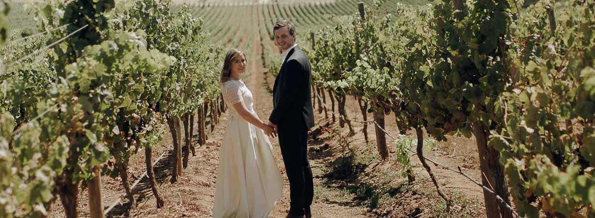The bride and groom are in the middle of the vineyards, facing each other, hand in hand, their faces facing the camera.