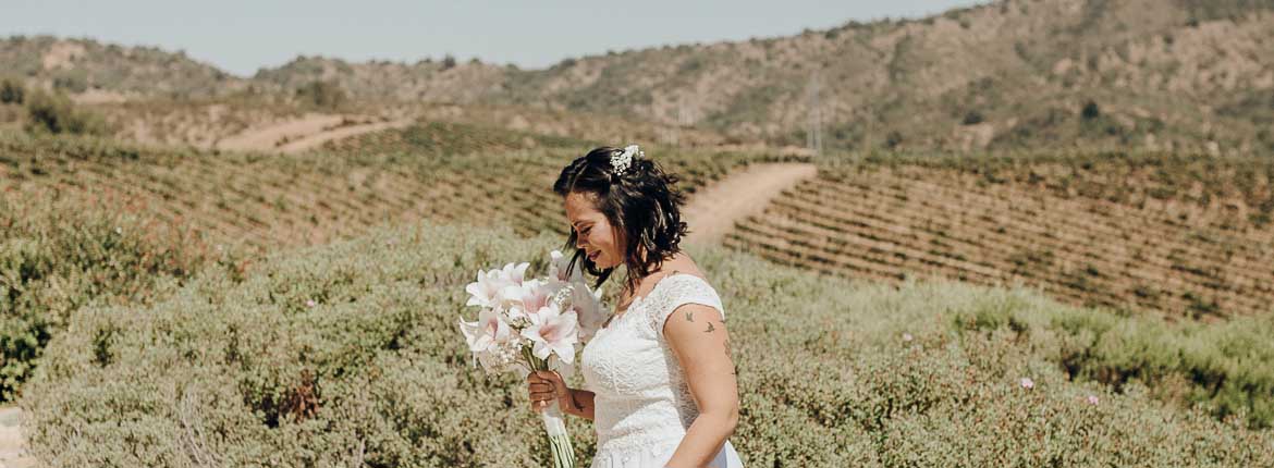 Noiva chegando para casamento no meio do vinhedo