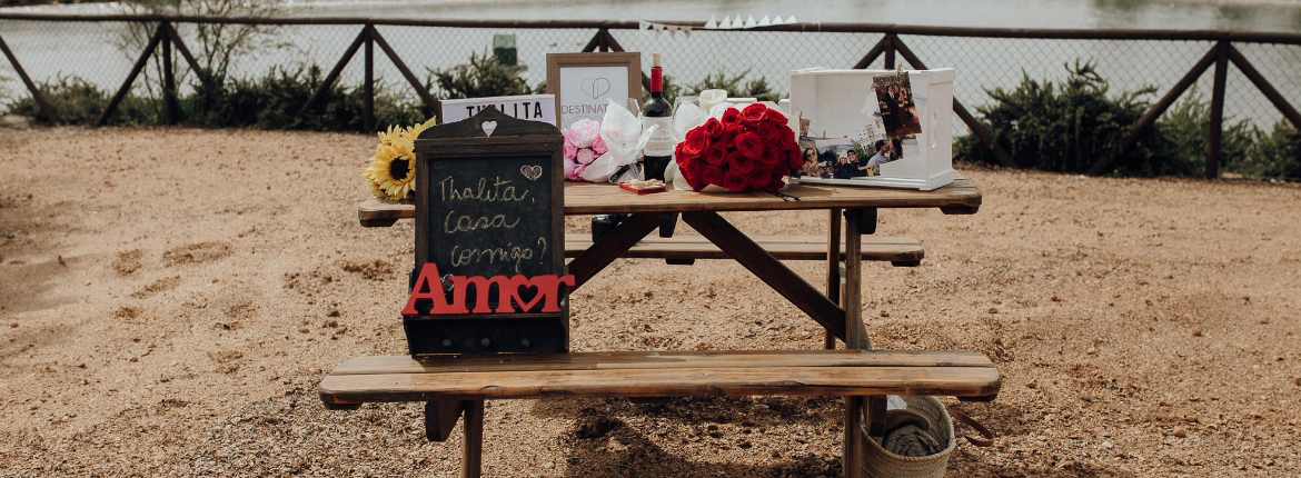 Pedido de Casamento de Thalita e Thiago no Chile