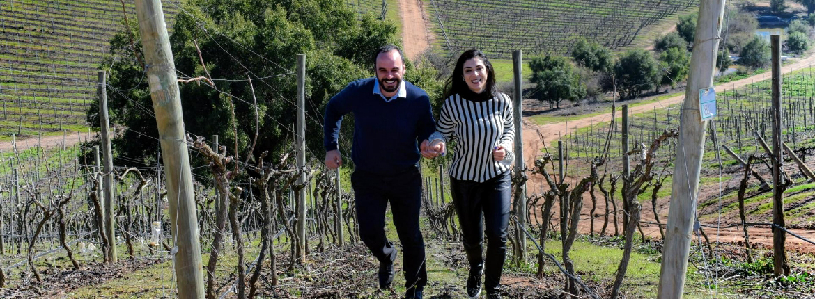 Casal em ensaio fotográfico em meio as parreiras na Casas del Bosque