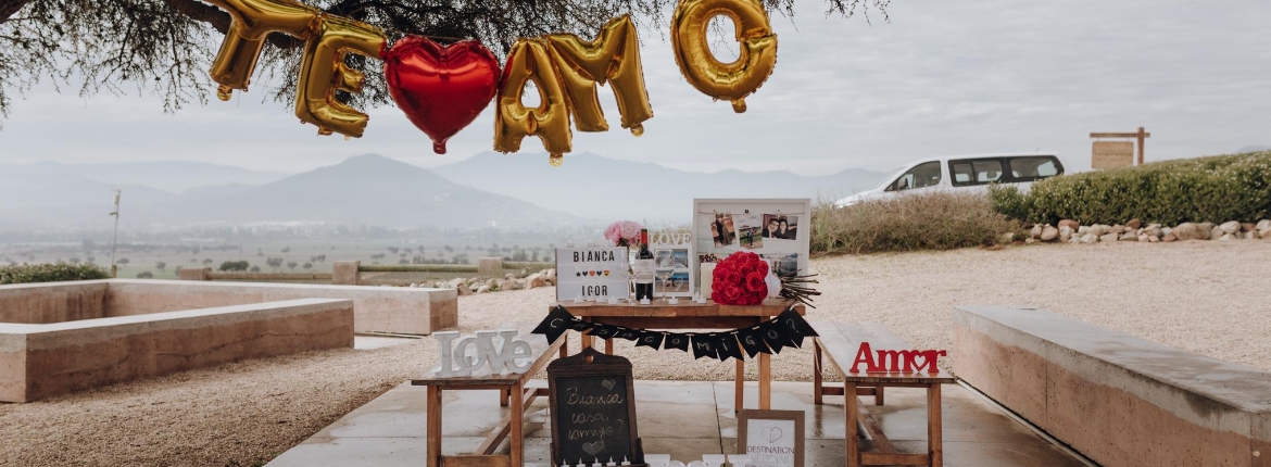 Pedido de Casamento de Igor e Bianca.