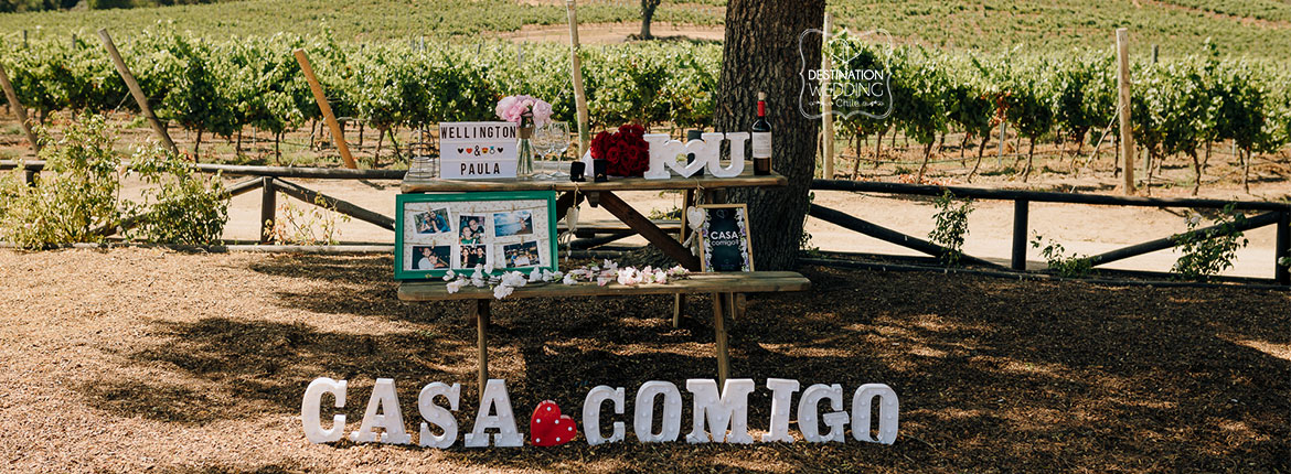 pedido de casamento no Chile, wedding proposal in Chile