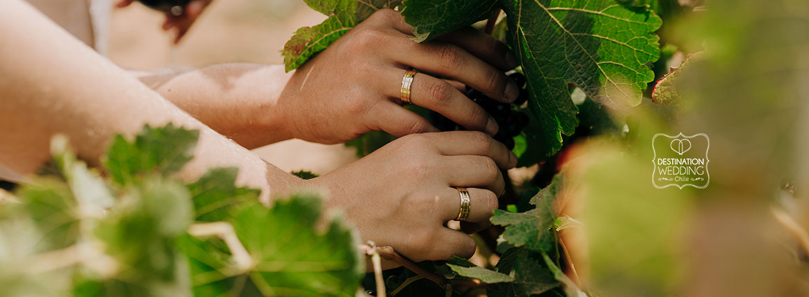 Pedido de casamento Chile, pedido de casamento no Chile, wedding proposal in Chile, pedido de mano en Chile, pedida de mano Chile