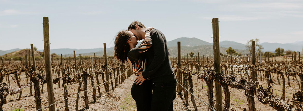 Pedido de Casamento no Chile, Pedido de casamento em vinícola, wedding proposal Chile, wedding proposal at a vineyard, wine lovers