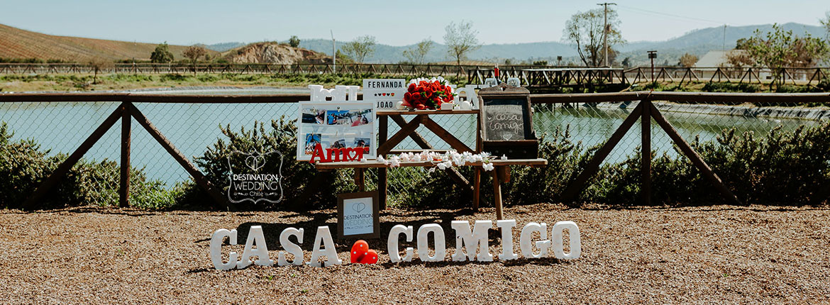 Pedido de Casamento no Chile, Pedido de casamento em vinícola, wedding proposal Chile, wedding proposal at a vineyard, wine lovers