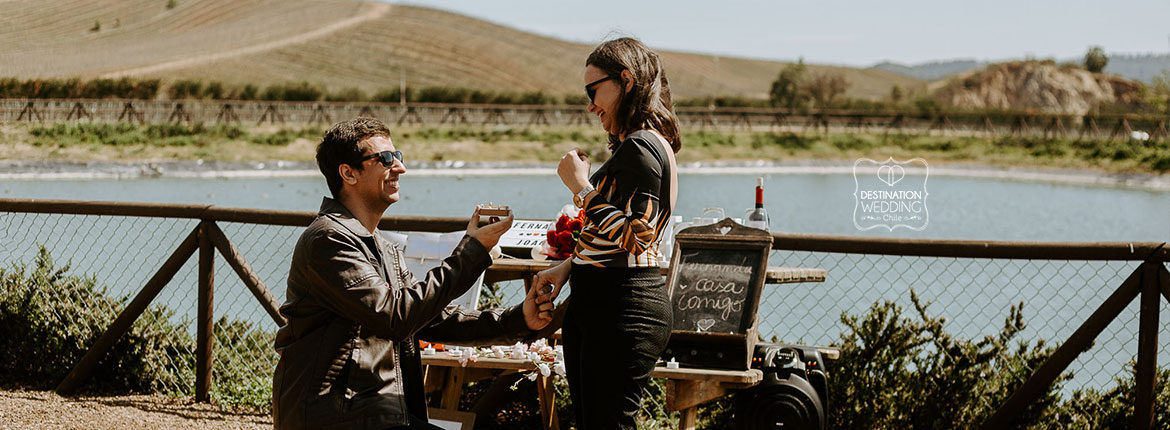 Pedido de Casamento no Chile, Pedido de casamento em vinícola, wedding proposal Chile, wedding proposal at a vineyard, wine lovers